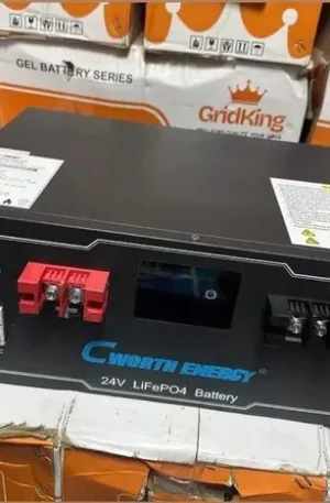 Cworth Energy 24v 2.5kwh 100ah Lithium(Lifepo4)Battery Price in Nigeria Nature Solar Global Limited