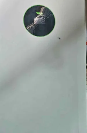 5kwh 48v. Felicity lithium battery Price in Nigeria Nature Solar Global Limited 2