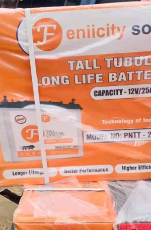 Feniicity tubular battery Price in Nigeria Nature Solar Global Limited
