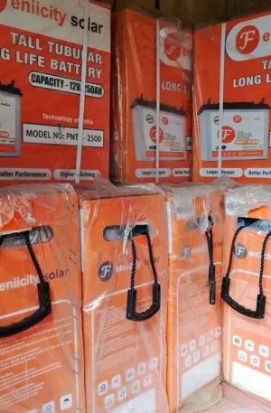 250ah 12v feniicity tubular battery Price in Nigeria Nature Solar Global Limited