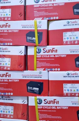 Sunfit dry cell battery 12Ah 12v Price in Nigeria 2 Sunfit dry cell battery 12Ah 12v Price in Nigeria Nature Solar Global Limited 2